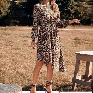 Leopard Print Dress